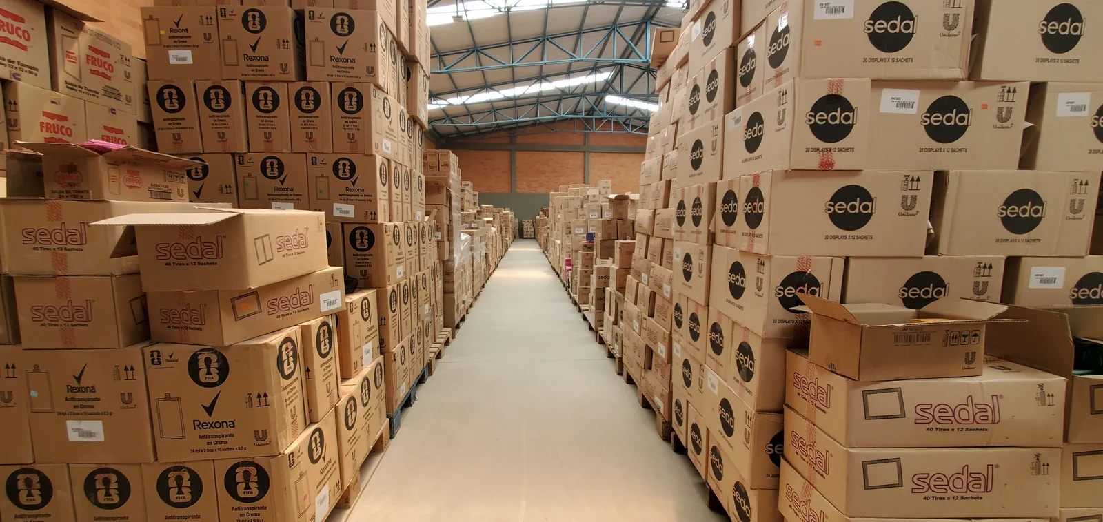Interior de la bodega de Impacta, con producto organizado en estantería